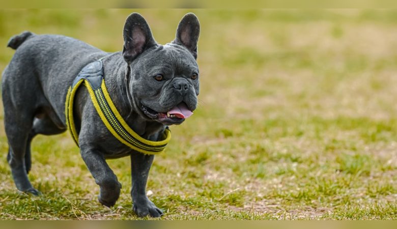 Heat Stroke: Recognize, Prevent, and Survive Safely