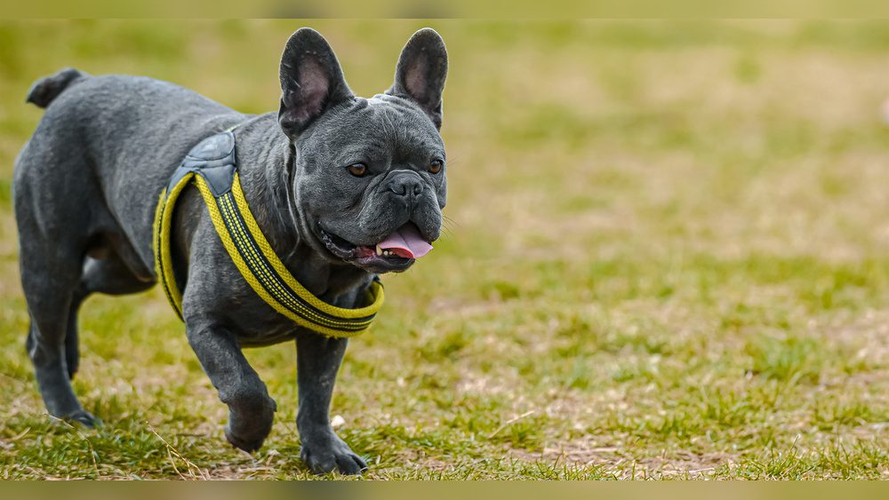 Heat Stroke: Recognize, Prevent, and Survive Safely